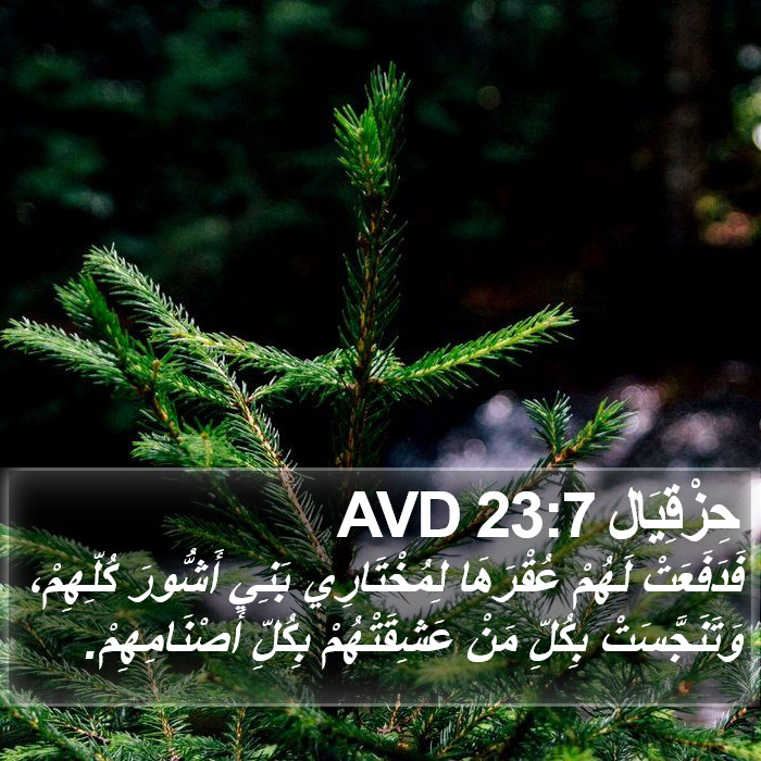حِزْقِيَال 23:7 AVD Bible Study