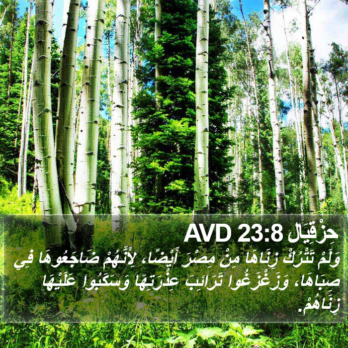حِزْقِيَال 23:8 AVD Bible Study