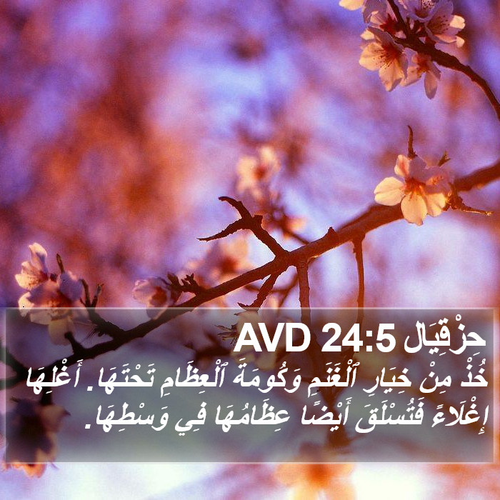 حِزْقِيَال 24:5 AVD Bible Study