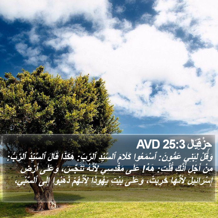 حِزْقِيَال 25:3 AVD Bible Study