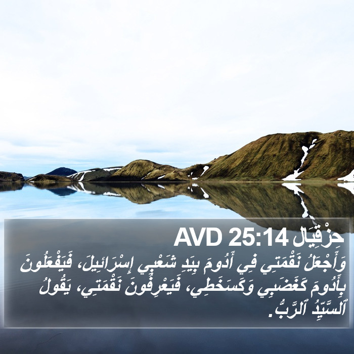 حِزْقِيَال 25:14 AVD Bible Study