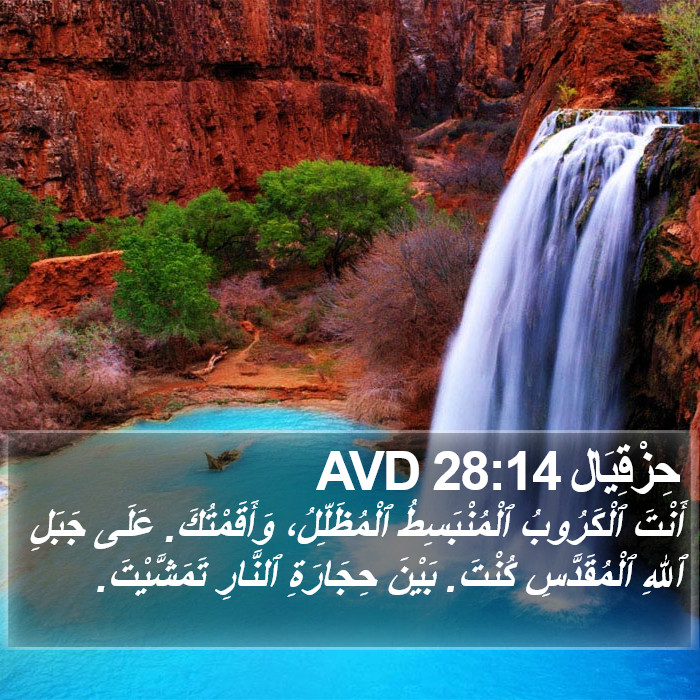 حِزْقِيَال 28:14 AVD Bible Study