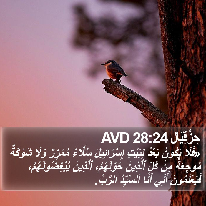 حِزْقِيَال 28:24 AVD Bible Study