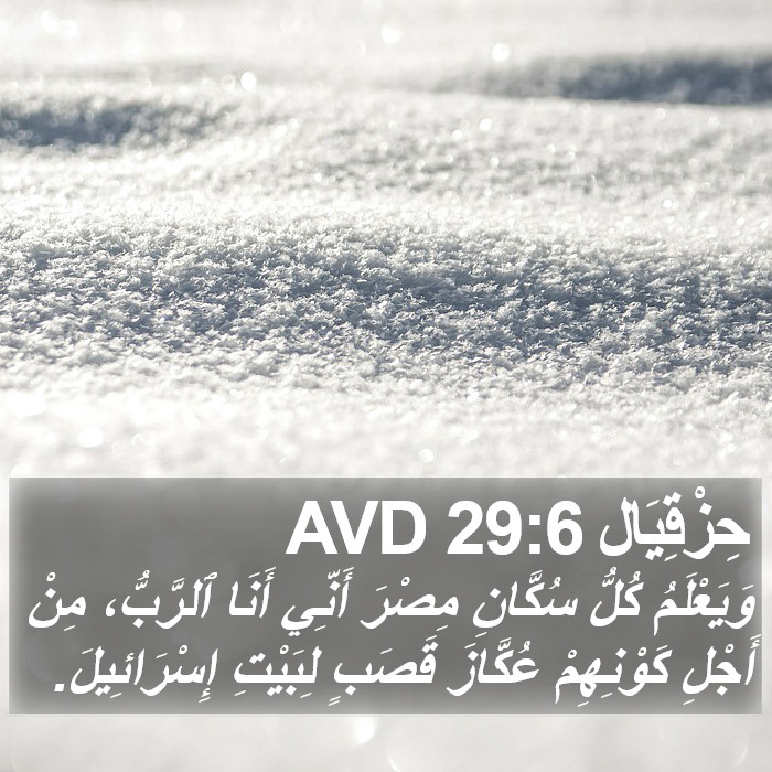 حِزْقِيَال 29:6 AVD Bible Study