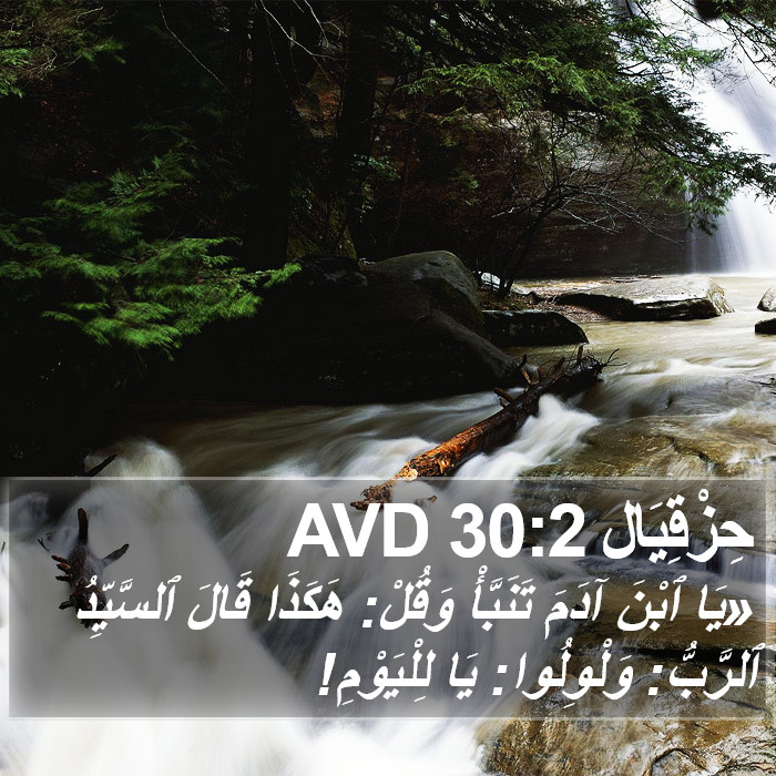 حِزْقِيَال 30:2 AVD Bible Study