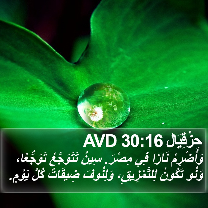 حِزْقِيَال 30:16 AVD Bible Study