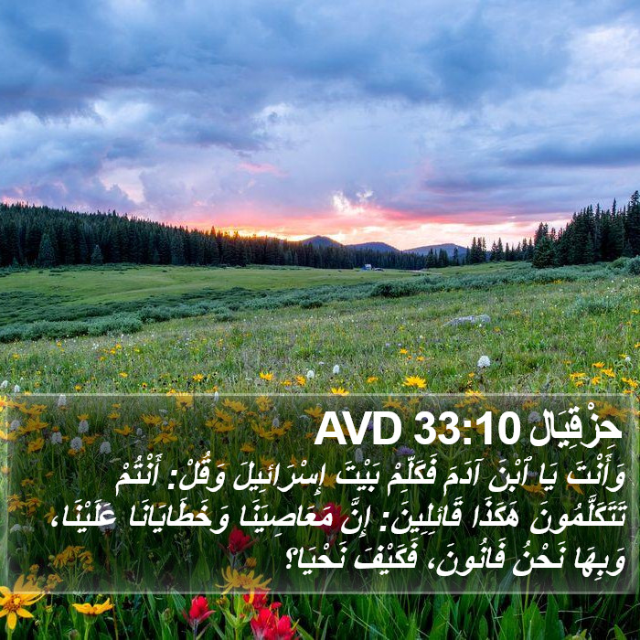 حِزْقِيَال 33:10 AVD Bible Study