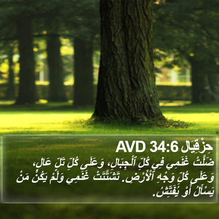 حِزْقِيَال 34:6 AVD Bible Study