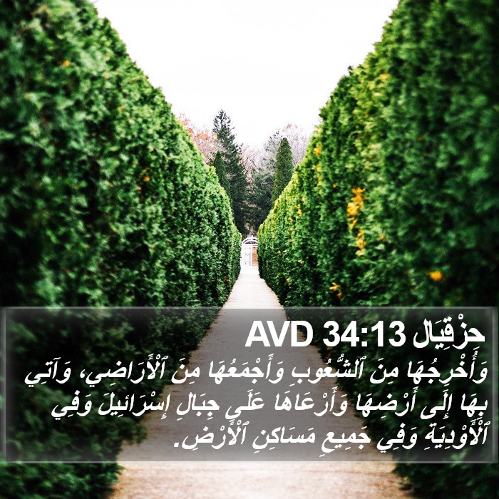 حِزْقِيَال 34:13 AVD Bible Study