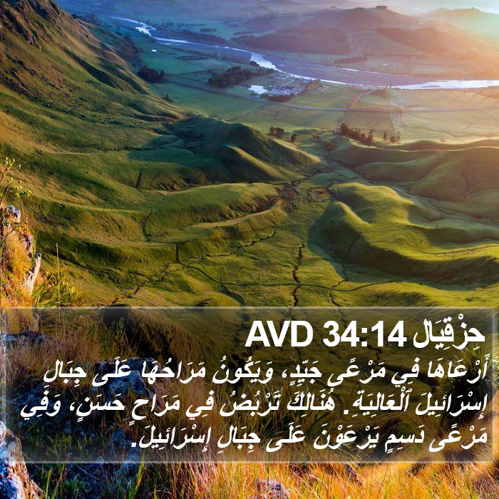 حِزْقِيَال 34:14 AVD Bible Study