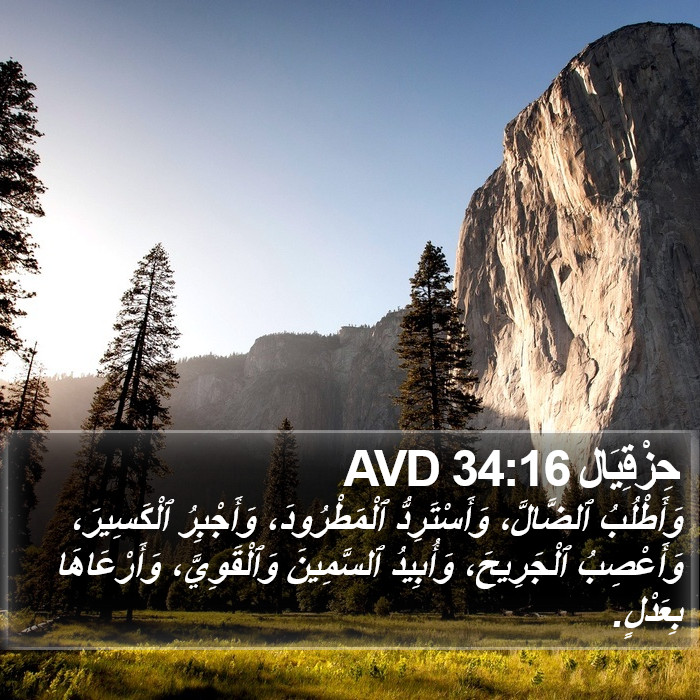 حِزْقِيَال 34:16 AVD Bible Study