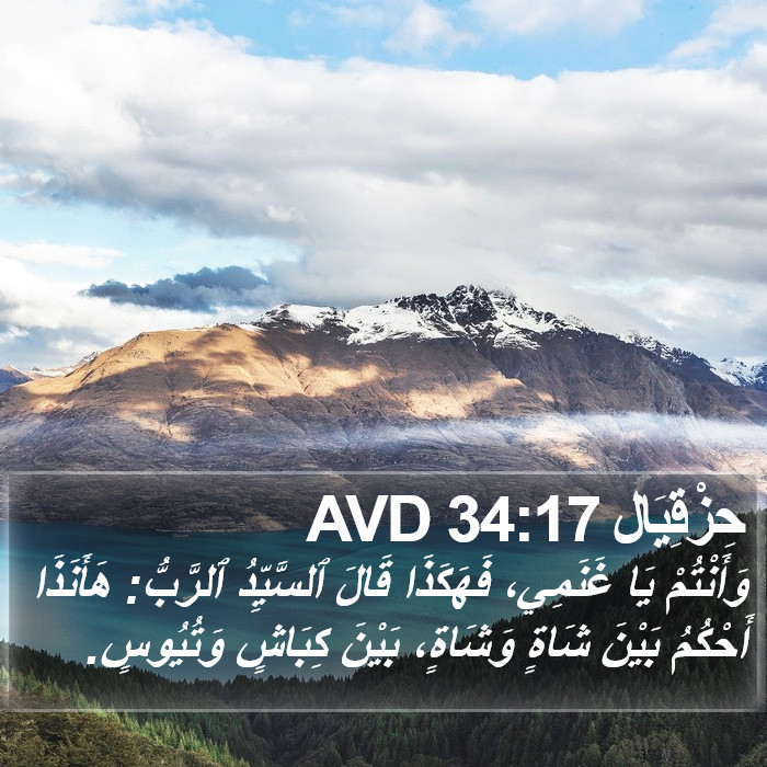 حِزْقِيَال 34:17 AVD Bible Study