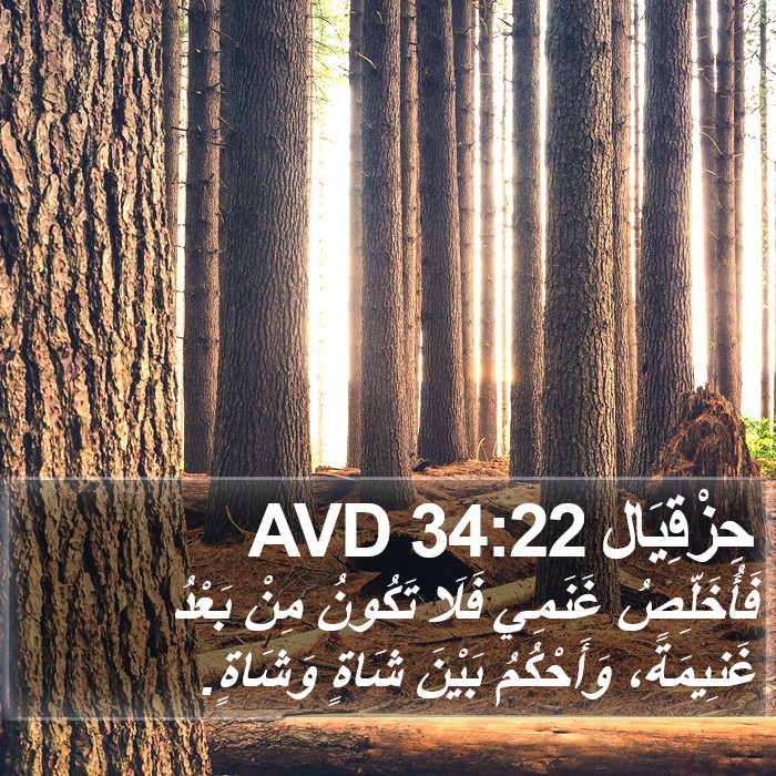 حِزْقِيَال 34:22 AVD Bible Study