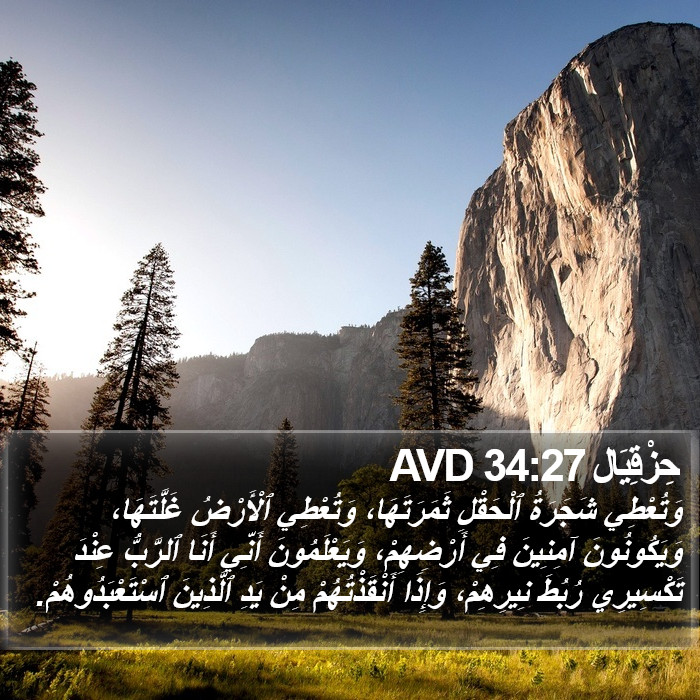 حِزْقِيَال 34:27 AVD Bible Study