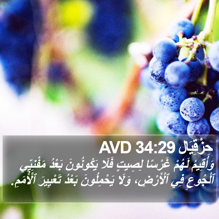 حِزْقِيَال 34:29 AVD Bible Study