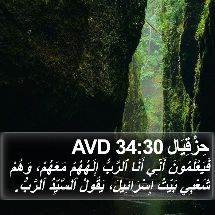 حِزْقِيَال 34:30 AVD Bible Study