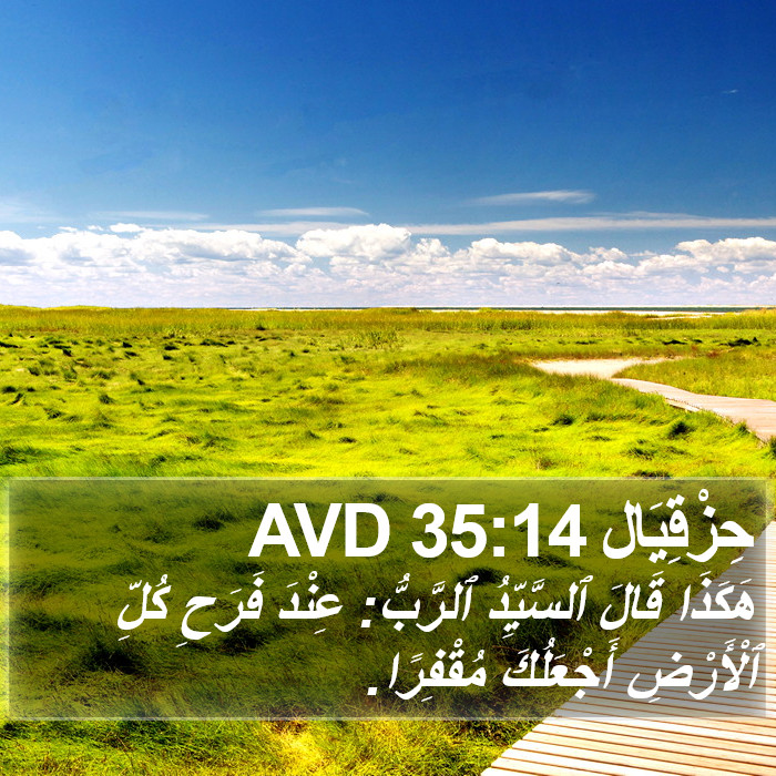 حِزْقِيَال 35:14 AVD Bible Study