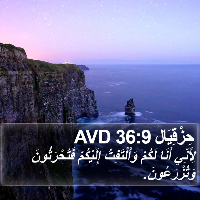 حِزْقِيَال 36:9 AVD Bible Study
