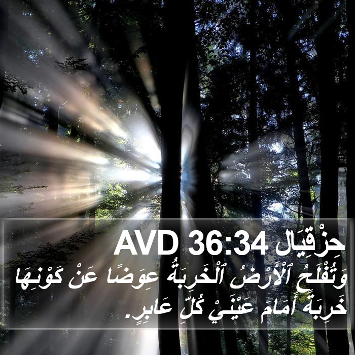 حِزْقِيَال 36:34 AVD Bible Study