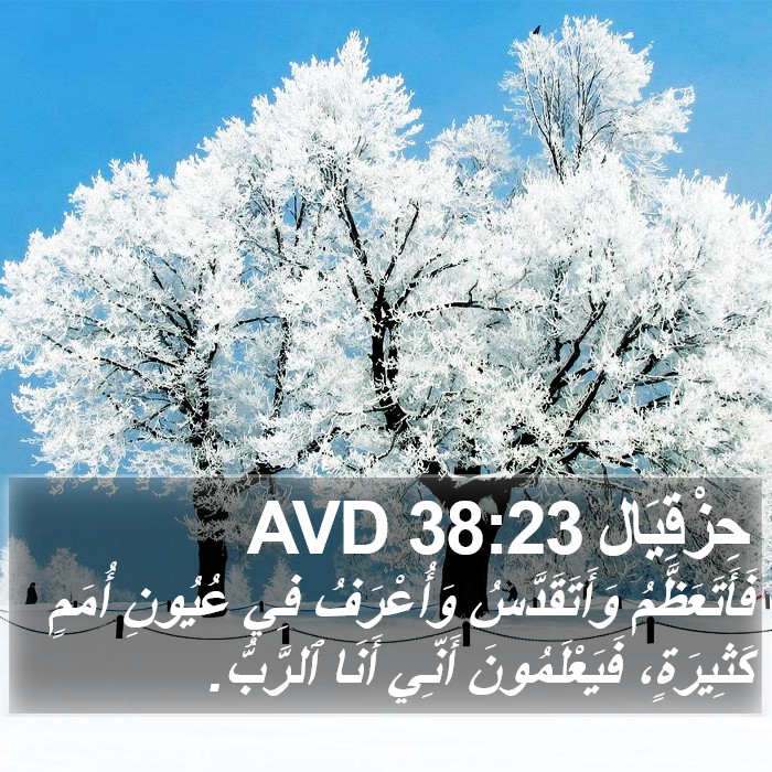 حِزْقِيَال 38:23 AVD Bible Study