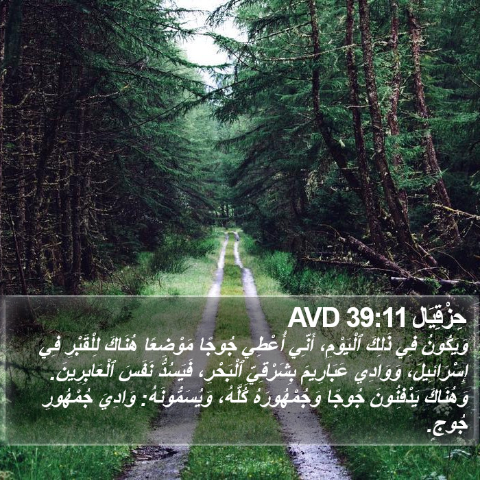 حِزْقِيَال 39:11 AVD Bible Study