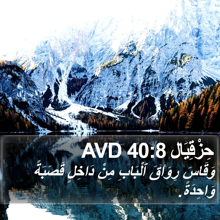 حِزْقِيَال 40:8 AVD Bible Study