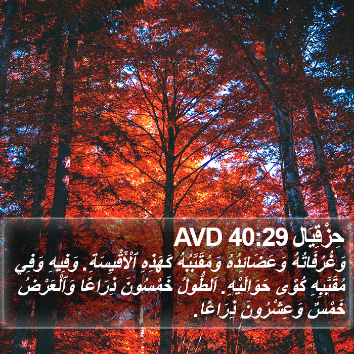 حِزْقِيَال 40:29 AVD Bible Study