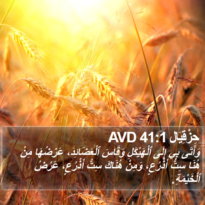 حِزْقِيَال 41:1 AVD Bible Study