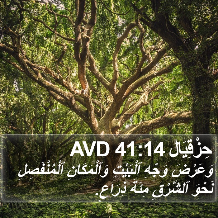 حِزْقِيَال 41:14 AVD Bible Study