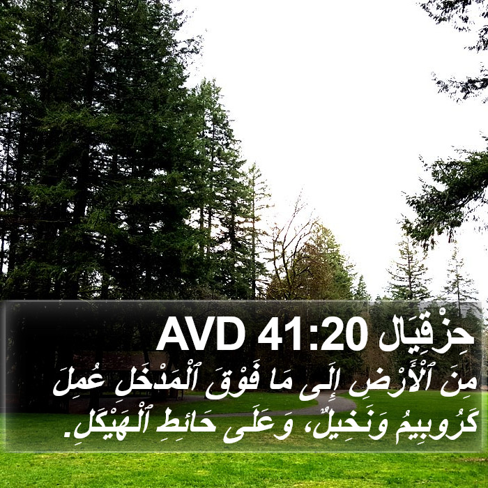 حِزْقِيَال 41:20 AVD Bible Study