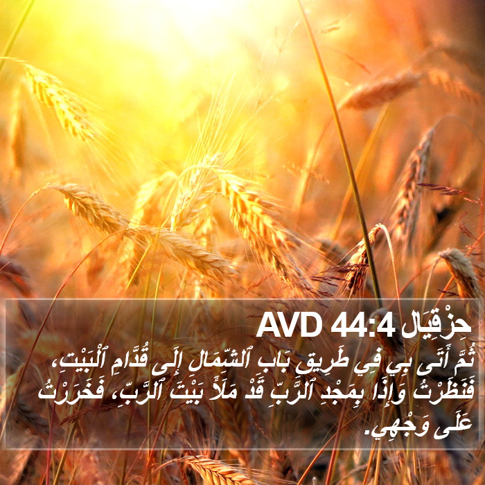 حِزْقِيَال 44:4 AVD Bible Study