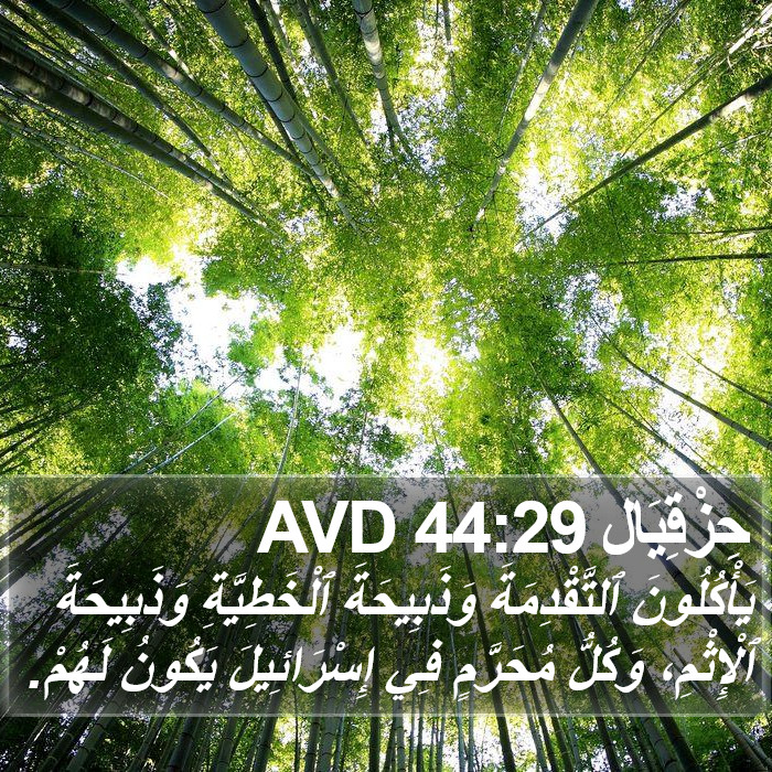 حِزْقِيَال 44:29 AVD Bible Study