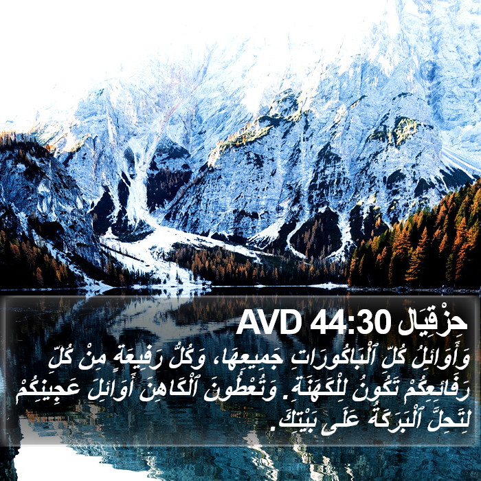 حِزْقِيَال 44:30 AVD Bible Study