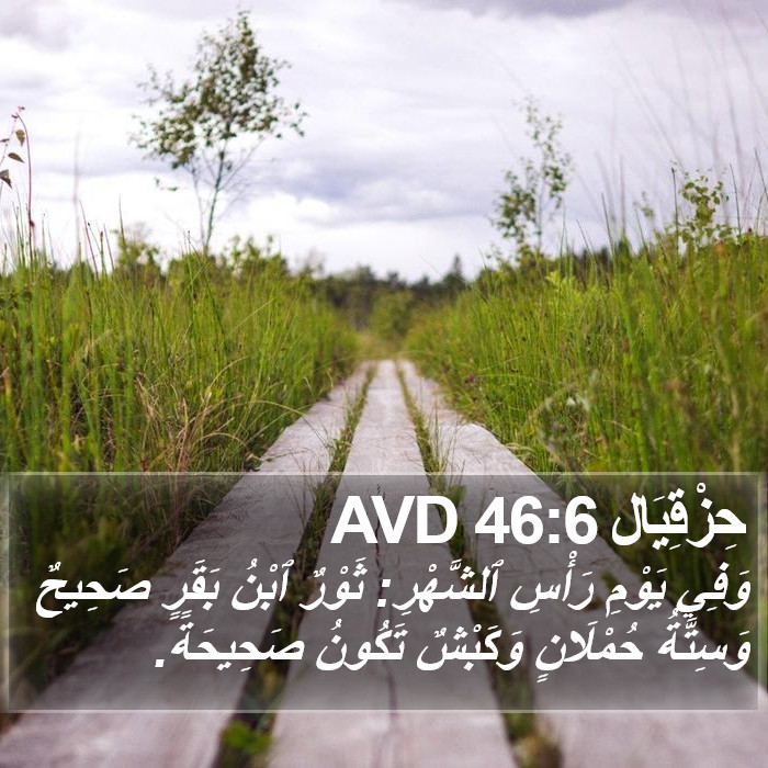 حِزْقِيَال 46:6 AVD Bible Study