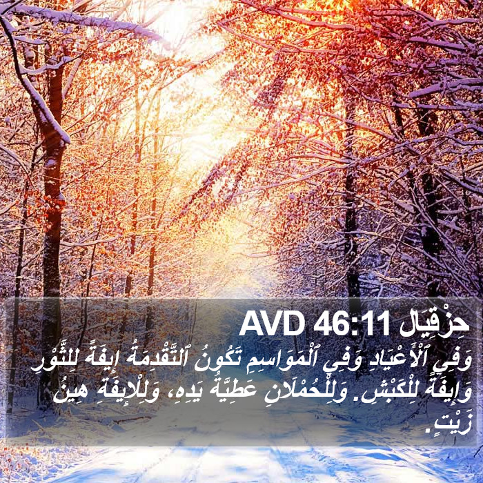 حِزْقِيَال 46:11 AVD Bible Study