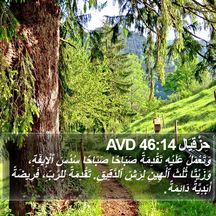 حِزْقِيَال 46:14 AVD Bible Study