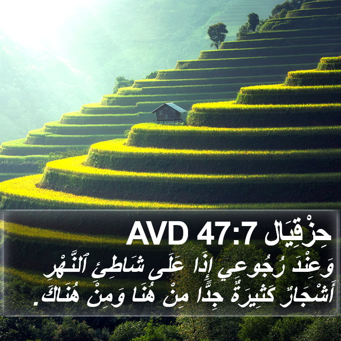 حِزْقِيَال 47:7 AVD Bible Study