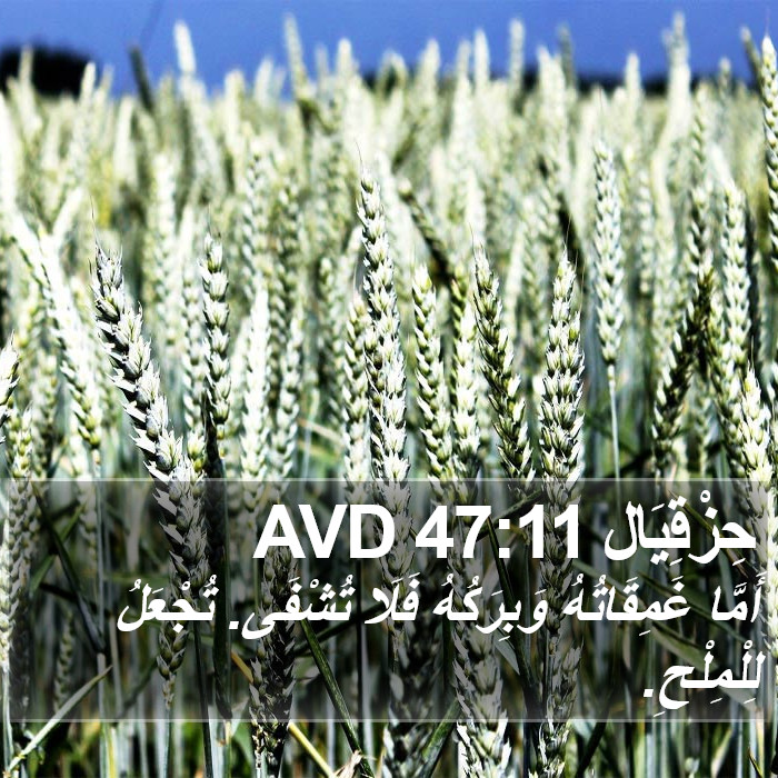 حِزْقِيَال 47:11 AVD Bible Study