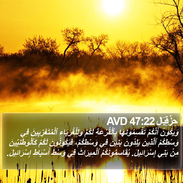 حِزْقِيَال 47:22 AVD Bible Study