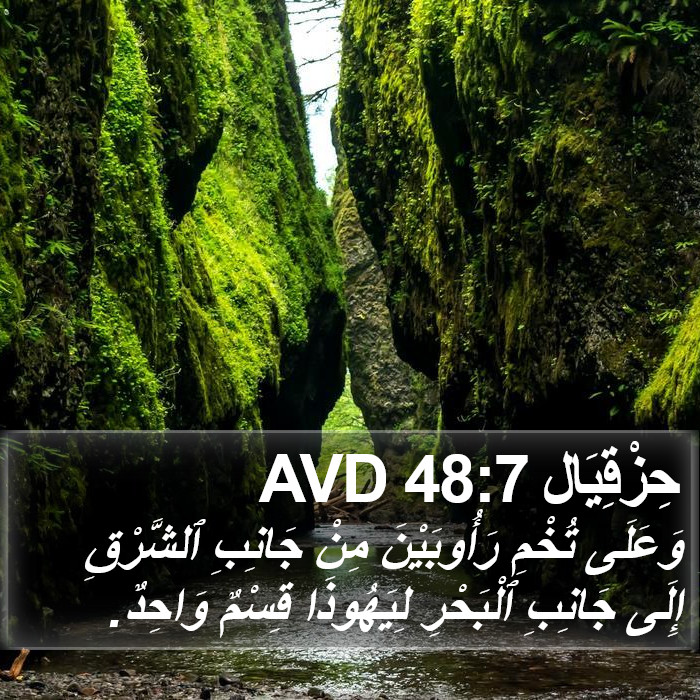 حِزْقِيَال 48:7 AVD Bible Study