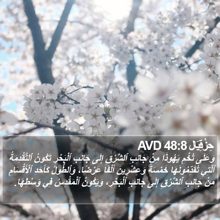 حِزْقِيَال 48:8 AVD Bible Study