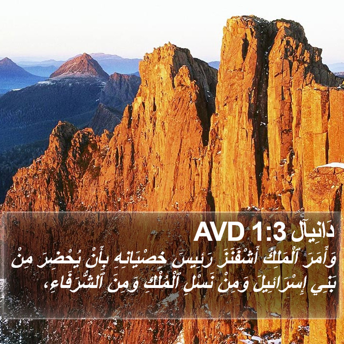 دَانِيآل 1:3 AVD Bible Study