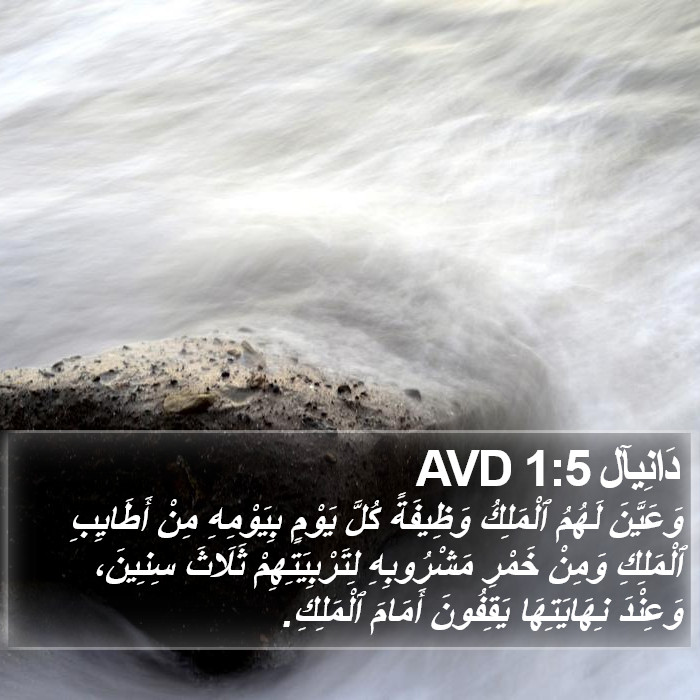 دَانِيآل 1:5 AVD Bible Study