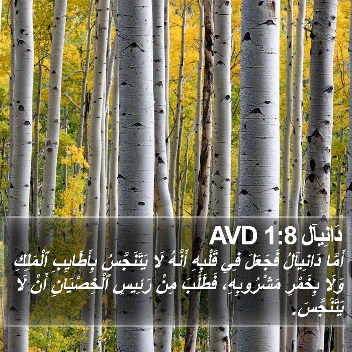 دَانِيآل 1:8 AVD Bible Study