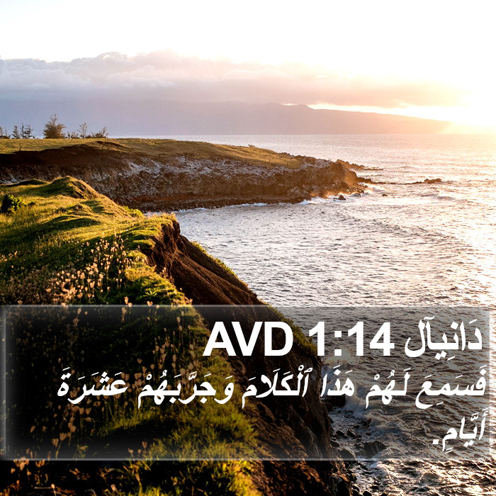 دَانِيآل 1:14 AVD Bible Study