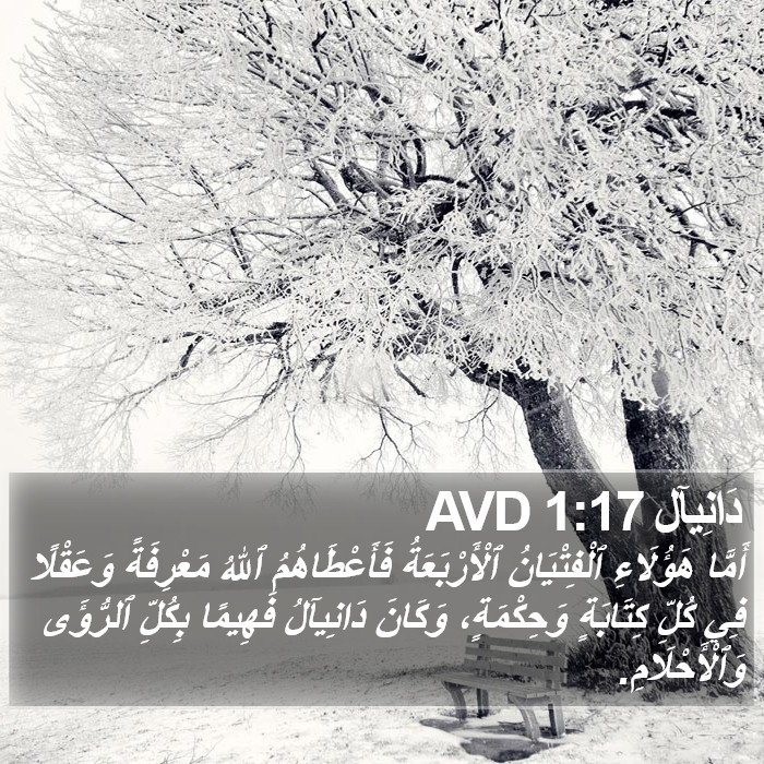 دَانِيآل 1:17 AVD Bible Study