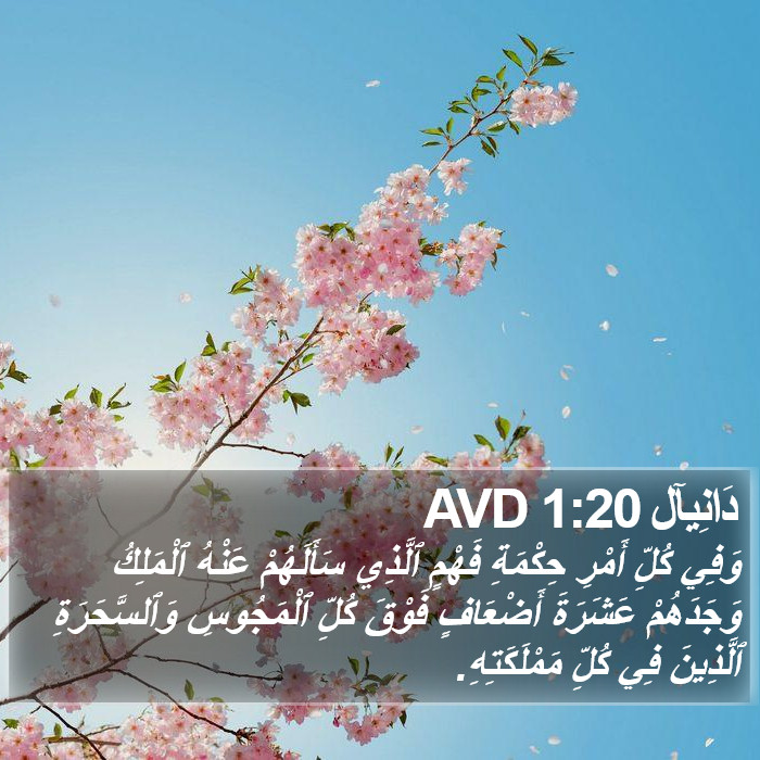 دَانِيآل 1:20 AVD Bible Study