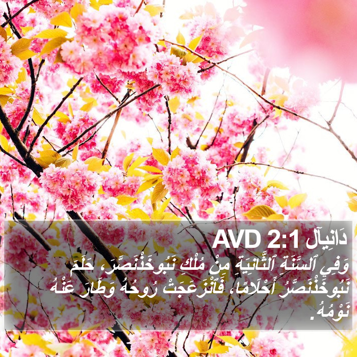 دَانِيآل 2:1 AVD Bible Study