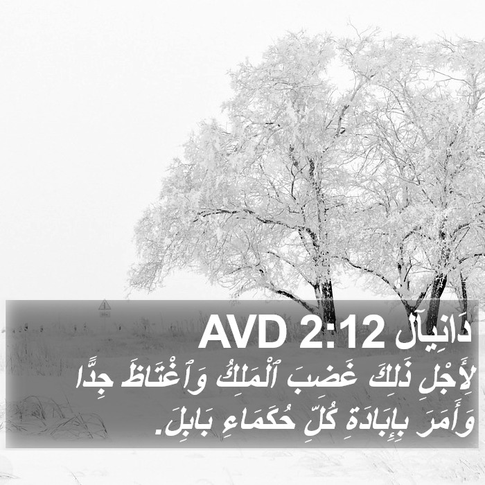 دَانِيآل 2:12 AVD Bible Study