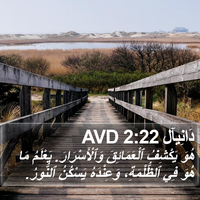 دَانِيآل 2:22 AVD Bible Study